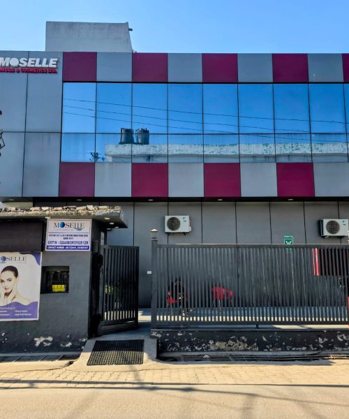 WhatsApp Image 2025-12-11 at 11.38.28 AM